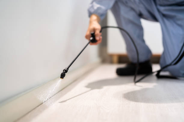 Rodent Entry Point Assessment in Cincinnati