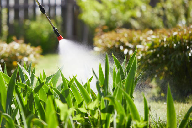 Tamper-Resistant Bait Stations for Rodents in Cincinnati