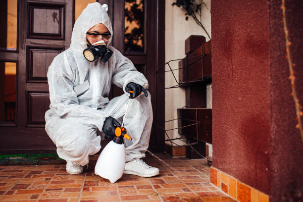 Attic and Crawl Space Rodent Treatment in Cincinnati