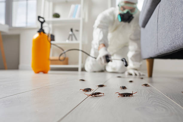 Commercial Rodent Management in Cincinnati
